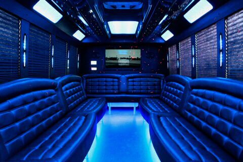 40 passenger party bus Charlotte interior