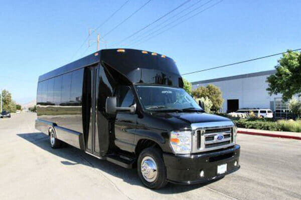 18 passenger party bus